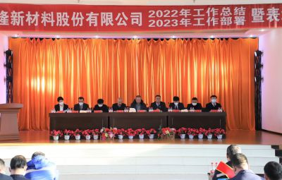 破浪逐新 奮進(jìn)未來|寶泰隆2022年度總結(jié)暨表彰大會隆重舉行